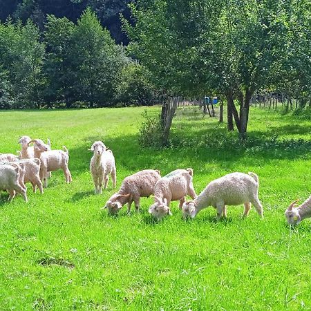 Au Mohair Des Alpy Fougax-et-Barrineuf Kültér fotó